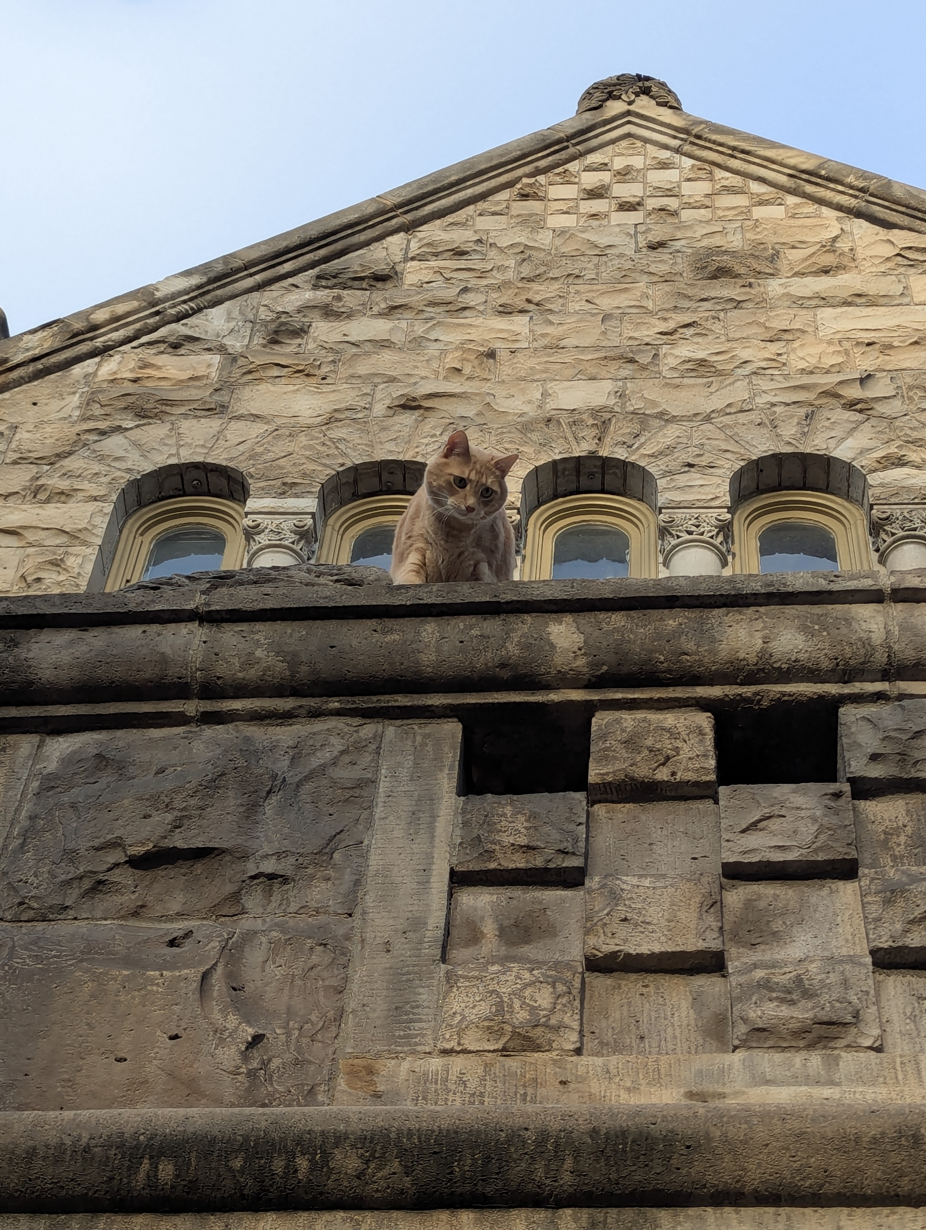 Denver, Red Canyon Software, Dunning-Benedict House, Hubble, flerken